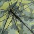 combi olive