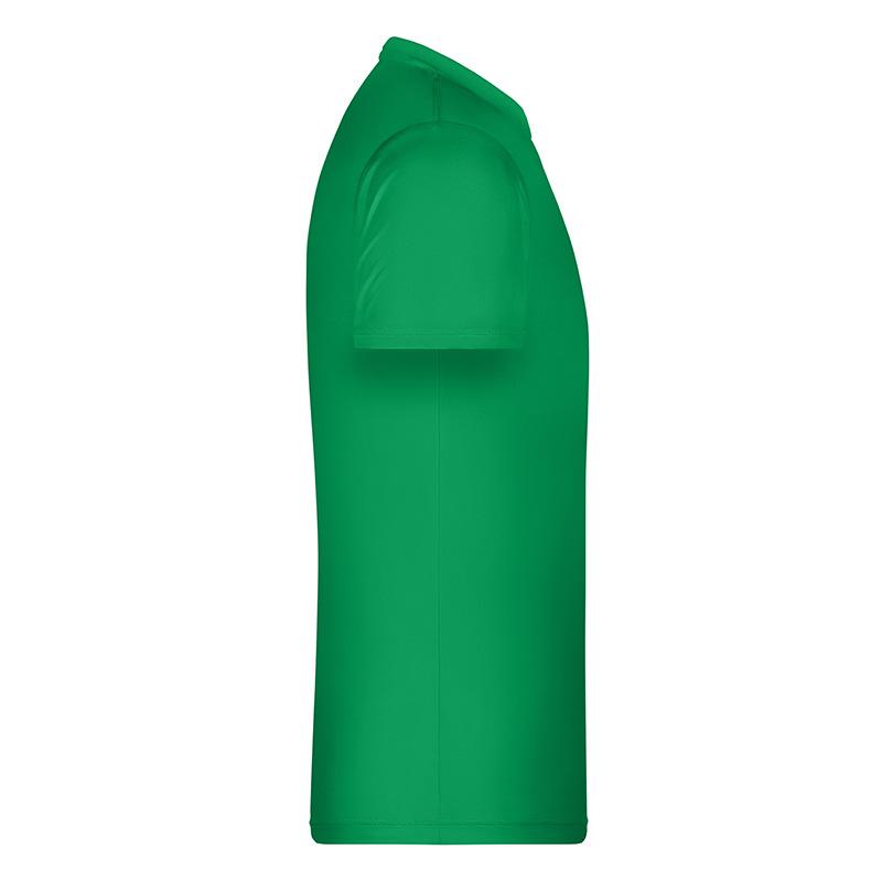 vert-fougere