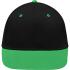 noir/vert-fougère