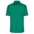 vert irlandais