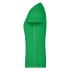 vert-fougere