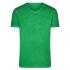 vert-fougere