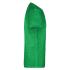 vert-fougere