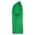 vert-fougere