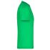vert-fougere
