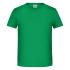 vert-fougere