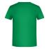 vert-fougere