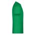 vert-fougere