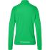 vert-fougere